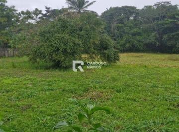 Terreno · 23000m² · R$ 800,00/m2 | Abrantes - terreno plano, 23.000m2.