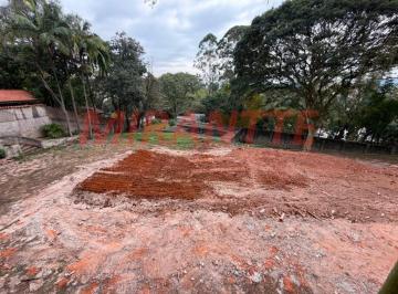 ae80ad3f77de8256d52a6bb50def519e.jpg · Terreno