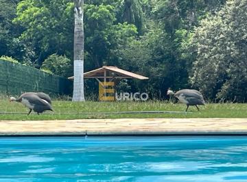 Photo 1 · Sítio à Venda no Vale Verde, em Araçoiaba da Serra, com 4 Quartos e Piscina