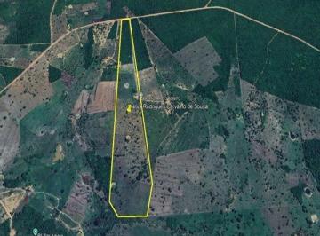 Área Rural 28 ha - Sítio Novo-MA - Fazenda Alto Bonito - Zona Rural - Foto [0] · Área Rural 28 ha - Sítio Novo-MA - Fazenda Alto Bonito - Zona Rural