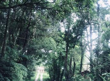 Imagem · Terreno à venda - em Abranches