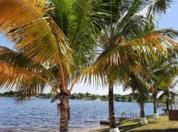 Lote à venda no ÁGUAS DE SAUÍPE, SUBAÚMA, Entre Rios, BA · Lote à venda no ÁGUAS DE SAUÍPE, SUBAÚMA, Entre Rios, BA