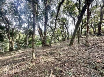 Terreno arborizado do lote de 1.472 m², no condomínio Vila de São Fernando. · Lote em condomínio, Vila de São Fernando, 1.472 m², rua sem saída, São Fernando
