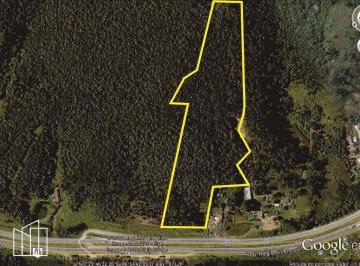 Vista aérea da área de 63.202 m² demarcada no Itaquaciara, Itapecerica da Serra. · Área de 63.202 m², Itaquaciara, Itapecerica da Serra, às margens da Rodovia Régi
