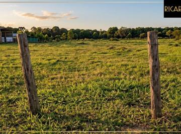 Terreno · 3750m² · Amplo Terreno | Itapirubá - SC