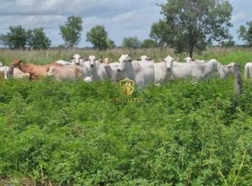 Imagem 1 · Fazenda para venda em Centro, Buritizeiro