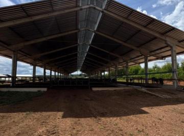 Imagem 1 · Fazenda para venda em Centro, Cordisburgo