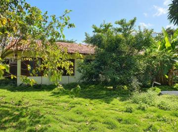Terreno · 560m² · Terreno à venda - em Pina