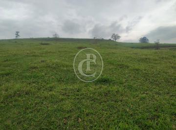 Rural · 200000m² · ÁREA INDUSTRIAL 200 MIL M² | 300M DA DUTRA | LAMBARI | EXCELENTE