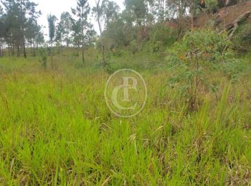 Terreno · 18m² · TERRENO 18.000 M² AO LADO DA DUTRA – LOCALIZAÇÃO ESTRATÉGICA