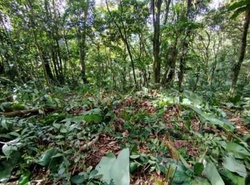 Imagem 1 · Sítio para venda em Rega, Pomerode