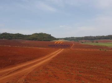 Imagem 1 · Fazenda para venda em Araraquara