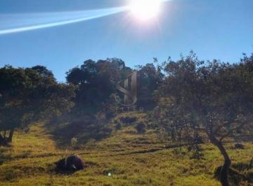 3528760f7ae12ea5a74eeffbfe83cbca4ed7549c · Terreno à venda, 178400 m² por R$ 6.779.200 - Caputera - Sorocaba/SP
