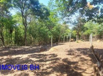 Foto 21 · Terreno - São José da Lapa