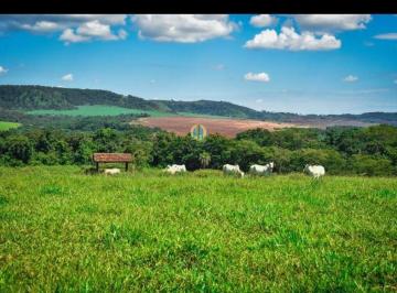 Rural · 320m² · Fazenda de lavoura à venda
