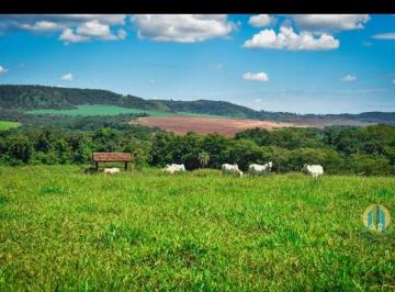 Rural · 320m² · Fazenda de lavoura à venda