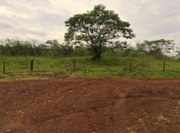 Terreno , Araraquara · Gleba de terras - Área B - 23,3304 alqueires - Sesmaria do Ouro - Araraquara/SP