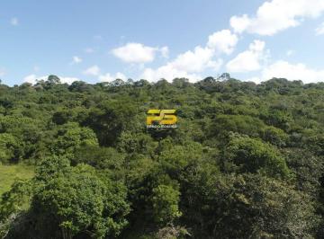 Rural · 12000m² · FAZENDA COM 12 HECTARES À VENDA | MATARACA  CAMARATUBA/PB