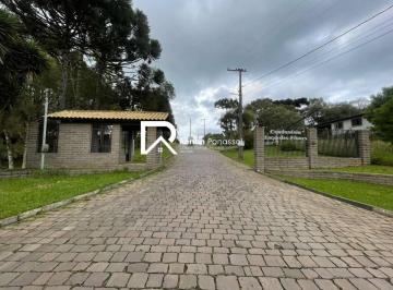 143008771d1b12681f62883c24049e.jpeg · Chácara à venda em Caxias do Sul, Desvio Rizzo, 5000m²