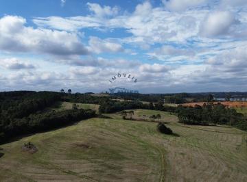 Comercial · 408000m² · Área à venda no bairro Butiatuva - Campo Largo/PR