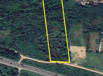 Imagem do Imóvel · Ubatuba - Área comercial, 19.000 m², Frente Rio-Santos, Estufa 2