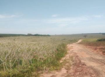 Imagem 1 · Fazenda para venda em Área Rural de Bauru, Bauru