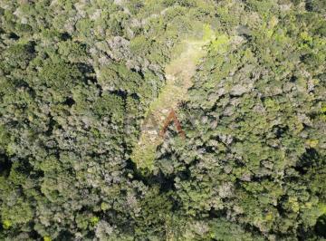 Imagem 1 · Sítio para venda em Guarapuava