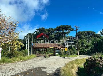 Terreno · 9700m² · Lote em Rua 6 do Alpes - Alpes - São Francisco de Paula/RS