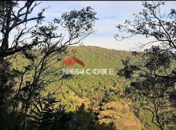 Terreno · 3800m² · Lote em Rua Jasmins - Colinas - São Francisco de Paula/RS