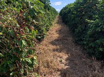 Foto 01 · Fazenda à venda no município de Mococa