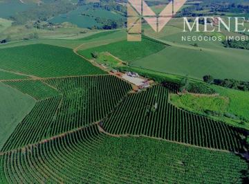 Foto 01 · Fazenda cafeeira à venda na região de Machado