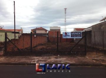 Terreno · 290m² · Terreno Padrão em São Carlos