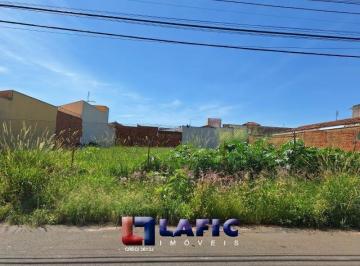 Terreno · 300m² · Terreno Padrão em São Carlos
