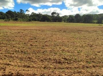Foto 01 · SÍTIO EM PIEDADE DOS GERAIS TERRA BOA, MUITA ÁGUA PLANTIO