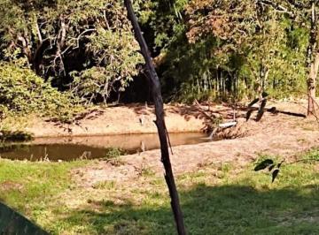 Foto 20 · SÍTIO 13.000 M² À VENDA EM RIO MANSO/MG