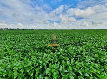 Rural · 600m² · Fazenda à Venda em João Pinheiro MG – 667 ha com 4 Pivôs e 158 ha Irrigados - porteira fechada