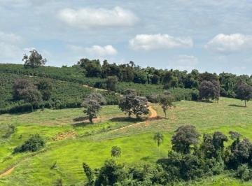 Photo_0 ·
Fazenda de Café e Agropecuária no Sul de Minas - 140 mill pés de Café