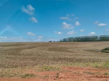 Photo_0 · 
                Fazenda de Alta Produtividade com Irrigação por Pivô no Sul de Minas – 135 ha
     
