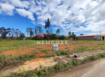 Terreno · Lote em Rodovia Luiz Rosso - Quarta Linha - Criciúma/SC