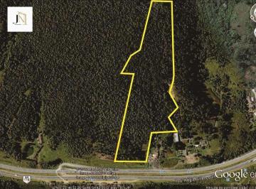 Terreno · 63202m² · ÁREA 63.202,79 m² às margens da Rod. Regis Bittencourt - Km 297 + 150 m