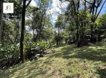 Terreno · 12000m² · Área - 12 mil m² + 10 mil m² de área de preservação - Jd. Colibri - Km 26 Raposo Tavares