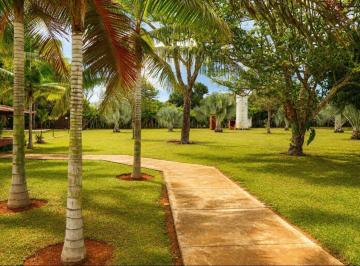 Rural de 3 quartos, Park · Vende-se chácara de 20.000 m² no Park Way