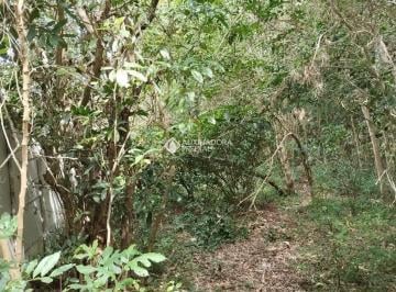 Terreno · 30000m² · Terreno à venda em Porto Alegre - Ilha