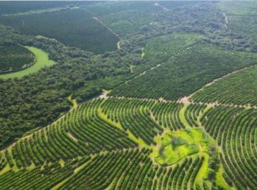 Imagem 1 · Fazenda para venda em Área Rural de Bauru, Bauru