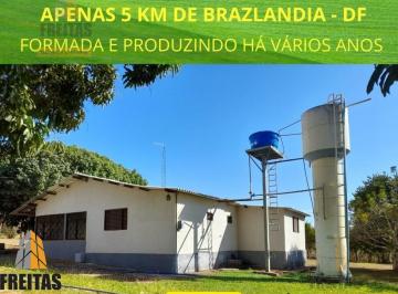 Rural · 182000m² · 4 Quartos · 2 Vagas · Chácara venda 18 hectares formada produzindo só 5 km  Brazlandia dupla aptidão