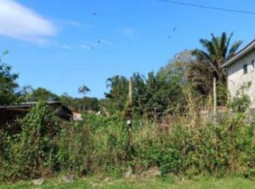 1.jpg · Terreno na Vila Nossa Senhora dos Navegantes - Cananéia