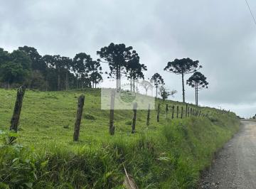 Rural · 121495m² · 1 Quarto · Area de 121.495 m2, escriturada, apenas 3,5 km da SC-418, otimo para condominio fechado