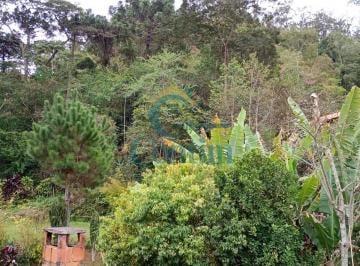 Imagem 1 · Sítio para venda em Granja Mafra, Teresópolis