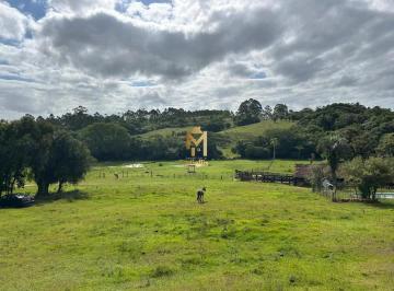 Imagem 1 · Sítio para venda em Branquinha, Viamão