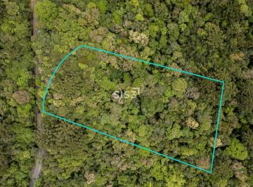 Terreno · 5133m² · Terreno à venda na Av. Cândido Hartmann | Ao lado